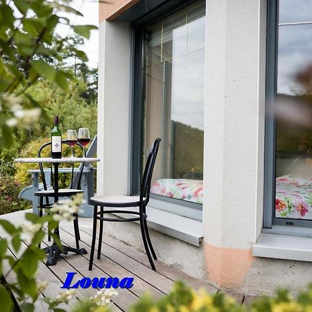 Appartements 5 Personnes Maya Et Louna Xonrupt-Longemer Esterno foto