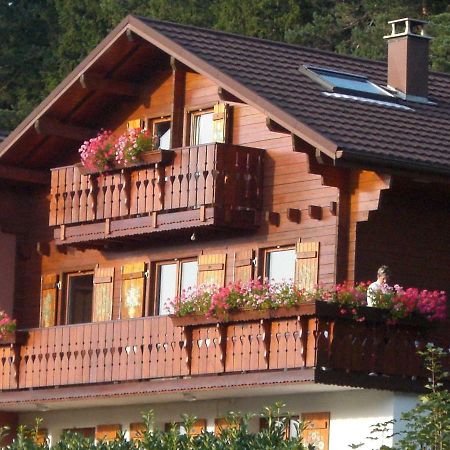 Appartements 5 Personnes Maya Et Louna Xonrupt-Longemer Esterno foto