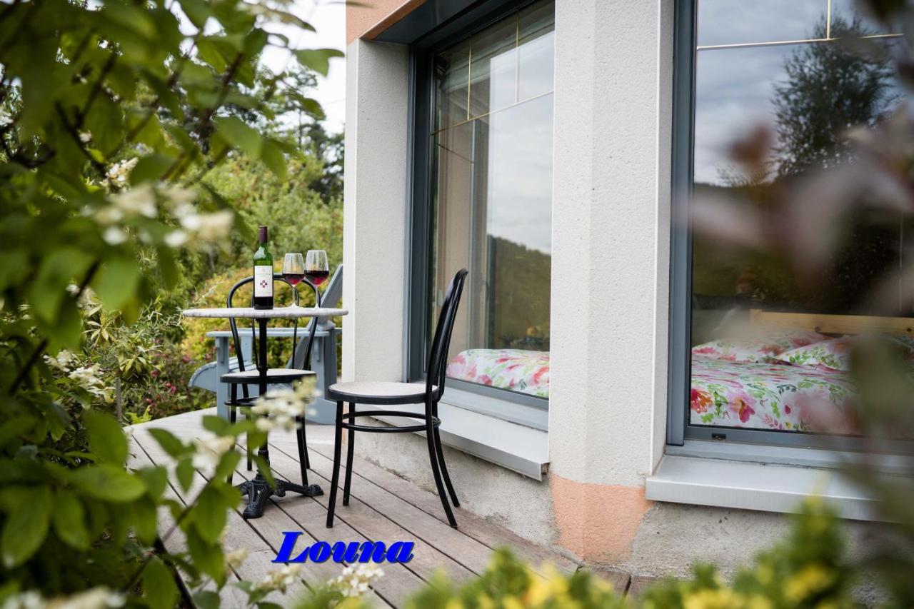 Appartements 5 Personnes Maya Et Louna Xonrupt-Longemer Esterno foto