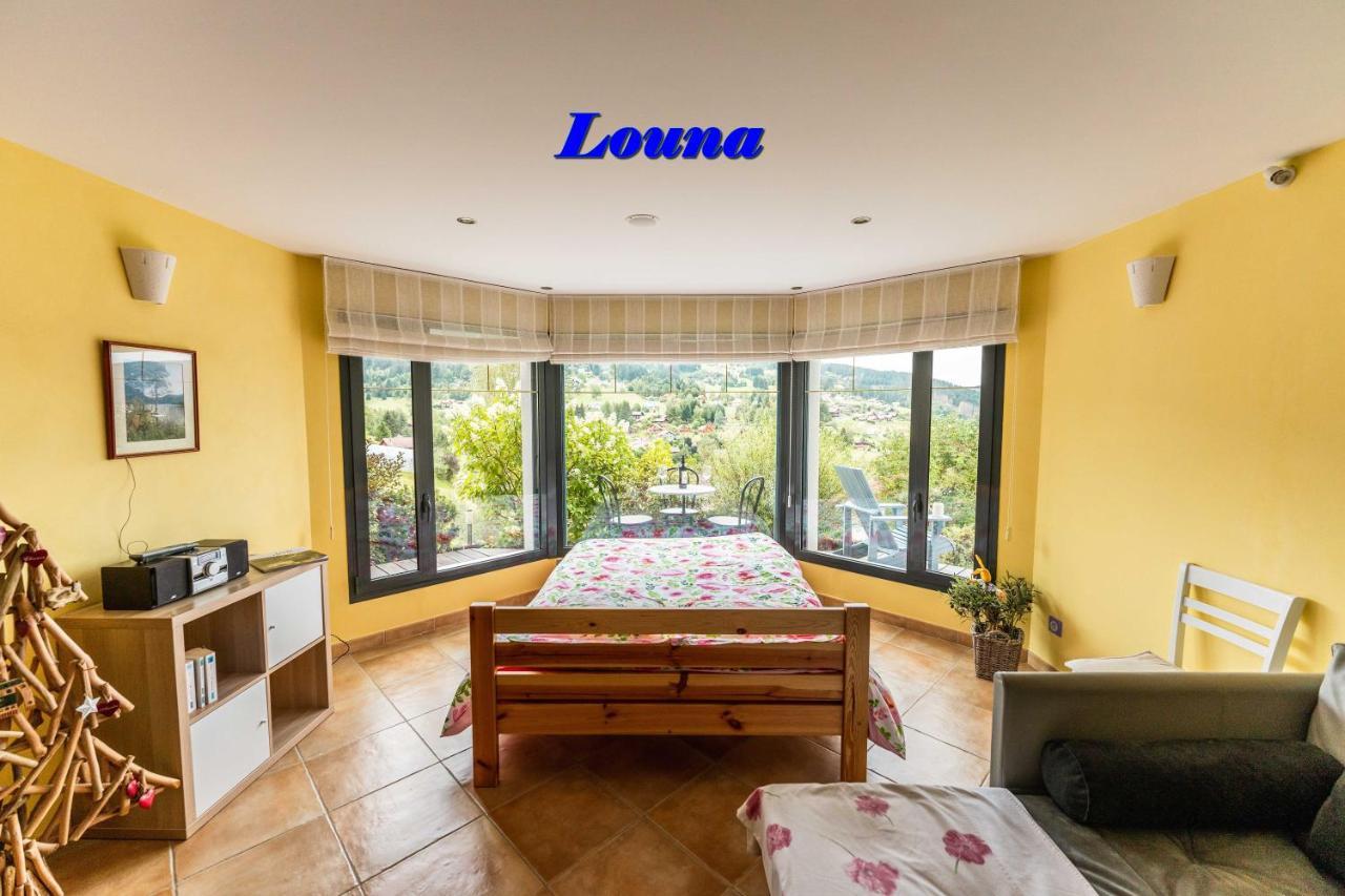 Appartements 5 Personnes Maya Et Louna Xonrupt-Longemer Esterno foto