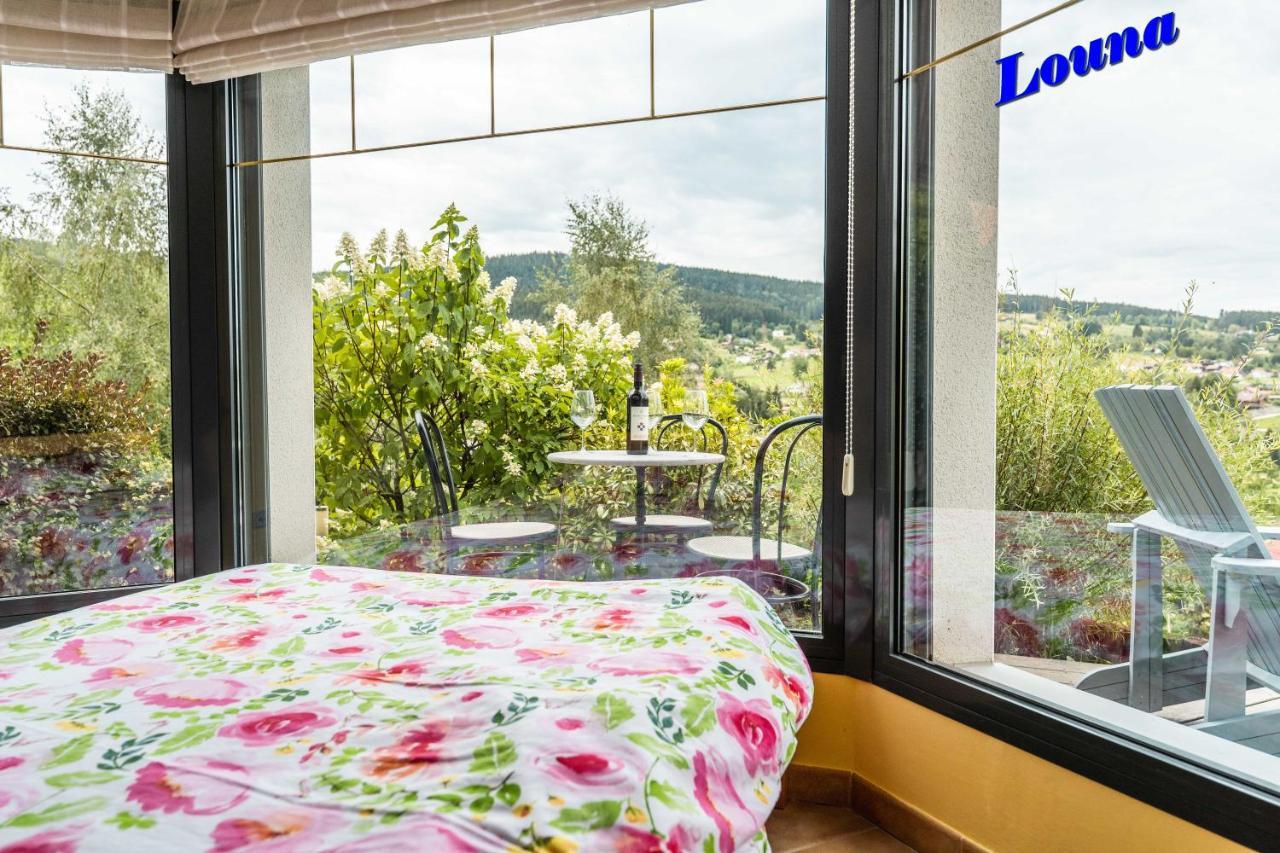 Appartements 5 Personnes Maya Et Louna Xonrupt-Longemer Esterno foto