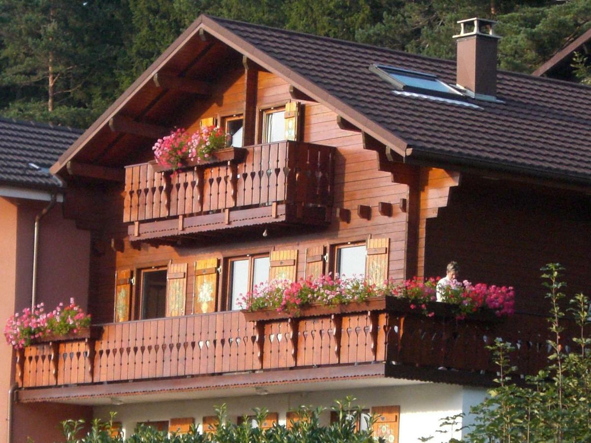 Appartements 5 Personnes Maya Et Louna Xonrupt-Longemer Esterno foto