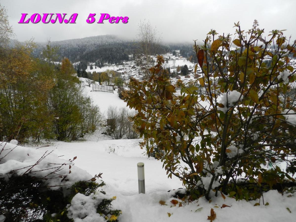 Appartements 5 Personnes Maya Et Louna Xonrupt-Longemer Esterno foto