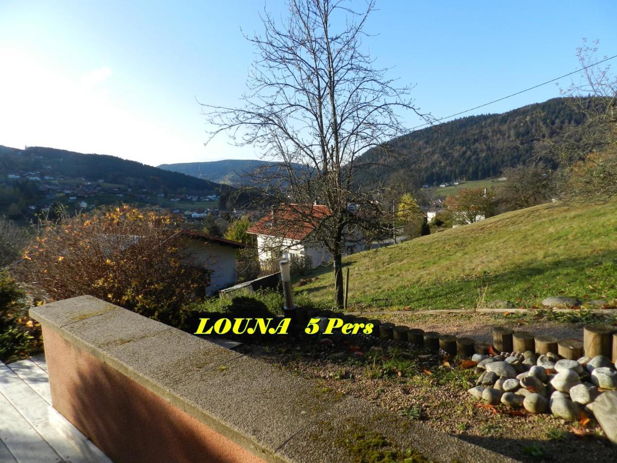 Appartements 5 Personnes Maya Et Louna Xonrupt-Longemer Esterno foto