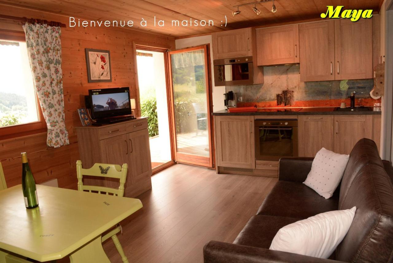 Appartements 5 Personnes Maya Et Louna Xonrupt-Longemer Esterno foto